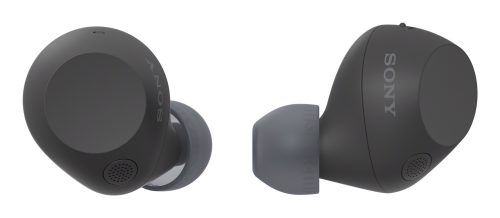 0317912_sony-wfc710nbce7-cuffia-e-auricolare-true-wireless-stereo-tws-in-ear-musica-e-chiamate-usb-tipo-c-bl - Immortale